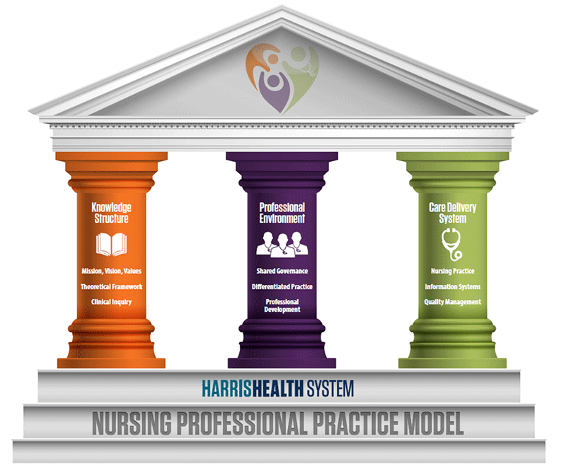 nursing-care-delivery-models-ppt-powerpoint-presentation-gallery-master